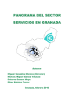 Panorama del sector servicios en Granada (20%) determinados
