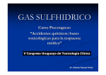gas sulfhidrico