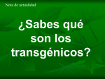¿Sabes qué son los transgénicos?