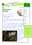El herrerillo común - Asociación Española de Educación Ambiental
