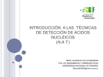 INTRODUCCIÓN A LAS TÉCNICAS NAT