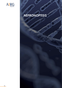 nefronoptisis - AIRG-E