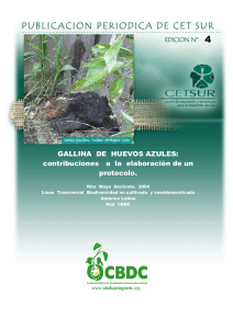 GALLINA DE HUEVOS AZULES: contribuciones a la