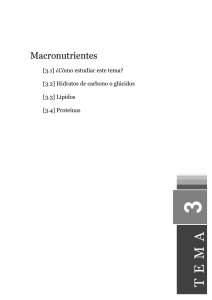 Macronutrientes