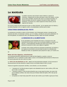 la manzana - Cristo Viene Pronto Ministries