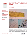 Descargar PDF - Laboratory Medicine at a glance