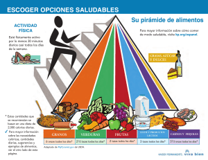 Making Healthy Food Choices Pyramid