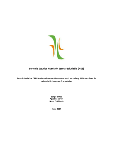 síntesis estudio NES