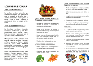 tripitico loncheras nutritivas