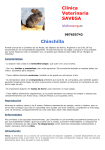 4-La Chinchilla - Clínica Veterinaria Savega