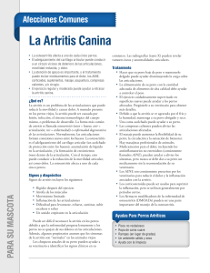 La Artritis Canina