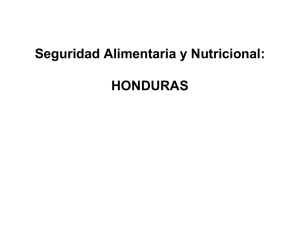 Seguridad Alimentaria y Nutricional: HONDURAS