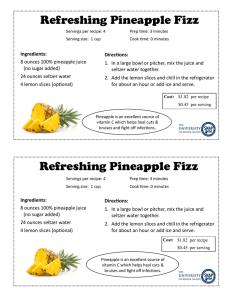 Refreshing Pineapple Fizz Refreshing Pineapple Fizz