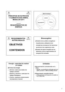 OBJETIVOS CONTENIDOS