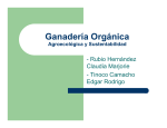 Ganadería Orgánica - Fomento Económico de Chiapas, AC