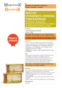 nucleo vitaminico-mineral concentrado