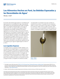 Los Alimentos Hechos en Puré, las Bebidas Espesadas