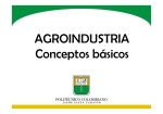 1. Conceptos Básicos - Sistemas agroindustriales