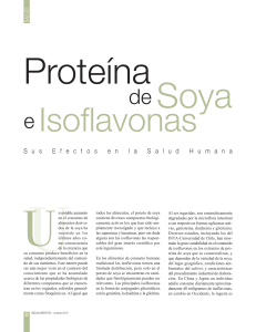 Proteína de soya e isoflavonas