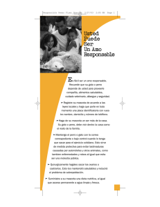 Usted Puede Ser Un Amo Responsable