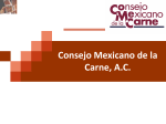 Consejo Mexicano de la Carne, A.C.