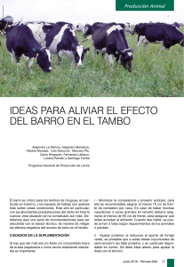 ideas para aliviar el efecto del barro en el tambo