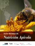 GUÍA TÉCNICA DE Nutrición Apícola