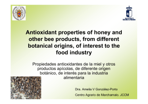 Antioxidant properties of honey and other bee products
