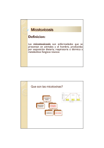 Micotoxicosis