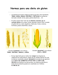 Dieta sin gluten - Policlinica Lacibis