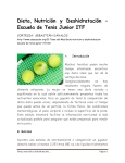 Dieta, Nutrición y Deshidratación – Escuela de Tenis Junior ITF