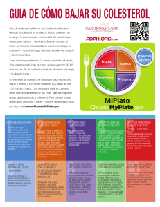 GUIA DE CÓMO BAJAR SU COLESTEROL