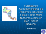 Fortificación Centroamericana de Alimentos con Acido Fólico y otros
