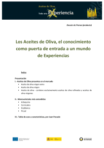 Dossier de Producto - Experiencias aceites de oliva