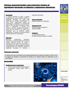 Sistemas nanoestructurados como protectores t&eacute;rmicos de