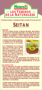 seitan - Natura Sí