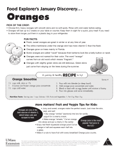Oranges - Brockton Public Schools