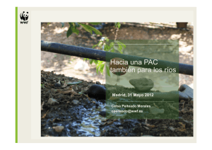 Hacia una PAC m&aacute;s verde, propuestas para la sostenibilidad