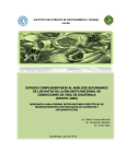 Informe del Estudio Análisis Secundario de la ENCOVI 2006