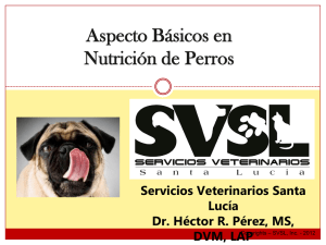 Diapositiva 1 - Servicios Veterinarios Santa Lucía