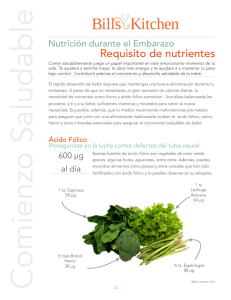 Requisitos de nutrientes durante el embarazo