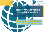 Perspectiva Global hacia la Seguridad Alimentaria Hugo Melgar