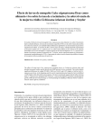 Efecto de larvas de mosquito Culex stigmatosoma - Inicio