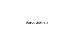 Sarcocistosis