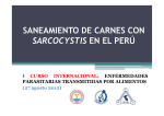 Saneamiento de carnes con Sarcocystis en el Perú
