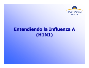 Entendiendo la Influenza A (H1N1)