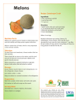 Melons - EatWellBeWell.org