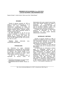 Salmonella sp.