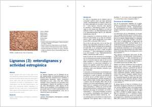 Lignanos (3): enterolignanos y actividad estrogénica