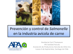 Prevención y control de Salmonella en la industria avícola